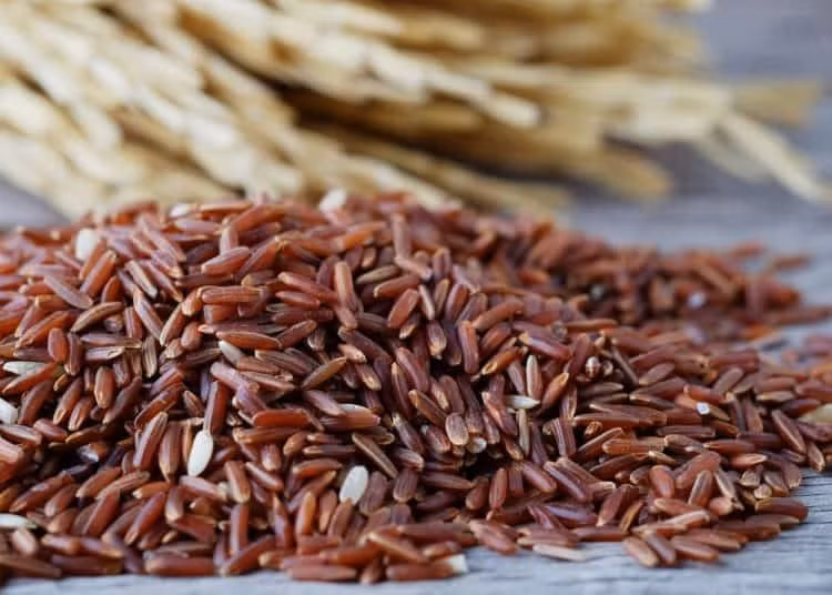 Thoi diem vang uong nuoc gao lut rang giup giam can-Hinh-2