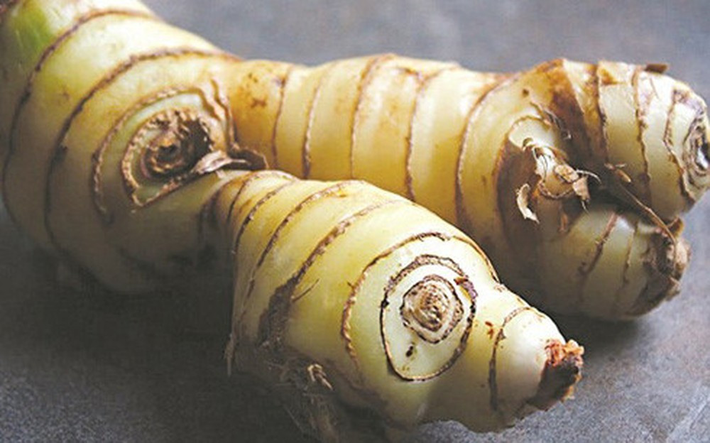 Loai cu re tien nhung giup ban chua benh cuc hieu qua