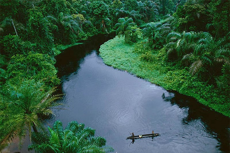 Lưu vực Congo, Tây Phi. Với tổng diện tích 3,7 triệu km2, lưu vực sông Congo là quê hương của các cánh rừng nhiệt đới lớn nhất thế giới - được mệnh danh là "lá phổi" của hành tinh chúng ta, tạo ra trên 40% oxy của thế giới. Đáng buồn là, theo ước tính, đến 2/3 diện tích rừng sẽ biến mất vào năm 2040.