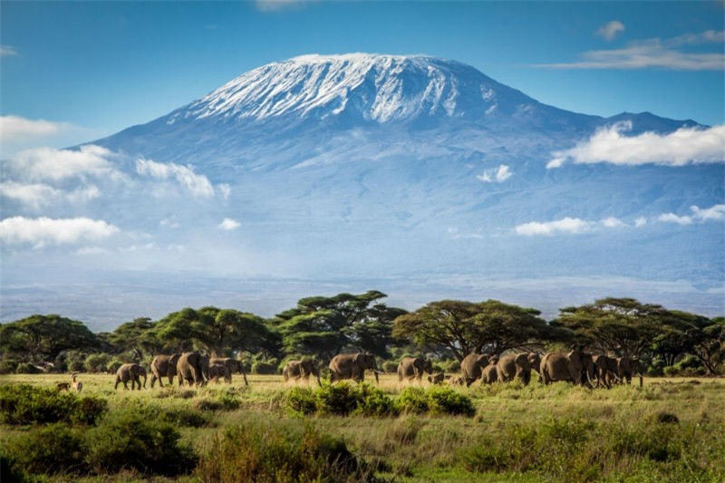 Núi Kilimanjaro, Tanzania. Quả núi tự nó sẽ không đi đâu cả, nhưng mũ tuyết của nó đã giảm ít nhất 80 - 85%; người ta ước tính rằng phần còn lại của chiếc mũ băng sẽ có thể biến mất trước năm 2040.