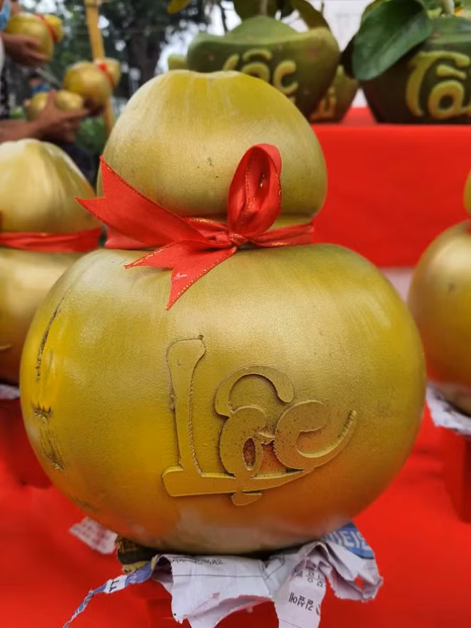 Dua ho lo doc dao tien trieu thu hut khach choi Tet-Hinh-5