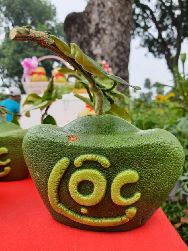Dừa hồ lô độc đáo tiền triệu thu hút khách chơi Tết - Hình 4 Dua ho lo doc dao tien trieu thu hut khach choi Tet-Hinh-4
