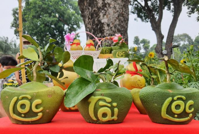 Dừa hồ lô độc đáo tiền triệu thu hút khách chơi Tết Dua ho lo doc dao tien trieu thu hut khach choi Tet