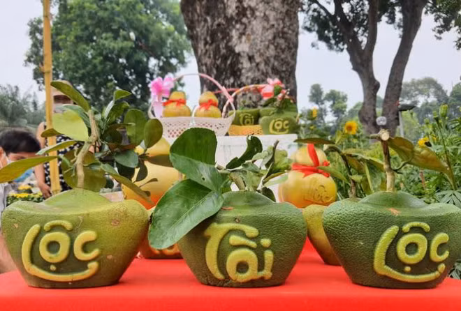 Dừa hồ lô độc đáo tiền triệu thu hút khách chơi Tết Dua ho lo doc dao tien trieu thu hut khach choi Tet