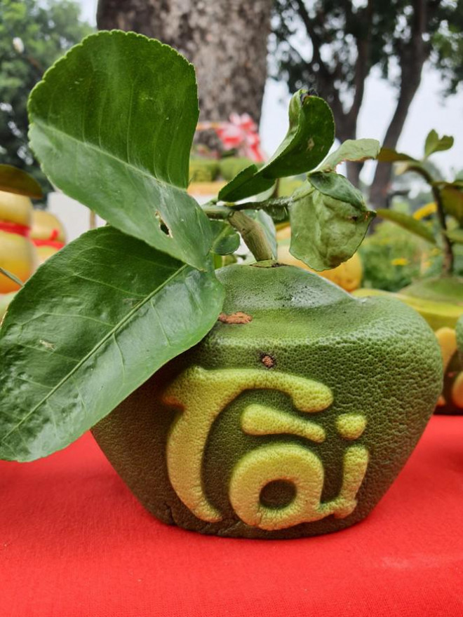 Dua ho lo doc dao tien trieu thu hut khach choi Tet-Hinh-3