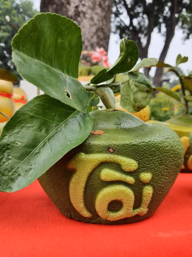 Dua ho lo doc dao tien trieu thu hut khach choi Tet-Hinh-3