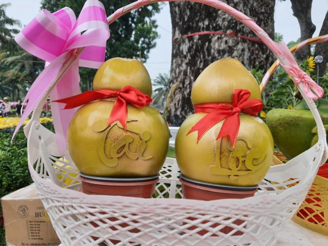 Dua ho lo doc dao tien trieu thu hut khach choi Tet-Hinh-7