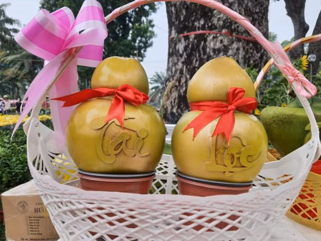 Dua ho lo doc dao tien trieu thu hut khach choi Tet-Hinh-7