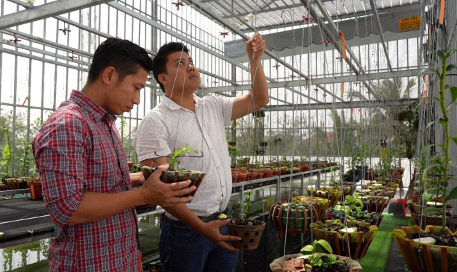 Vuon lan dot bien quy hiem o mien Tay-Hinh-5