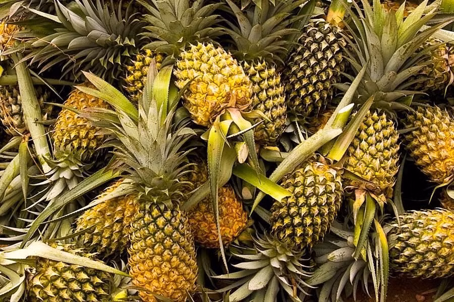 5 loai qua giup giam can, cang an dang cang dep-Hinh-2