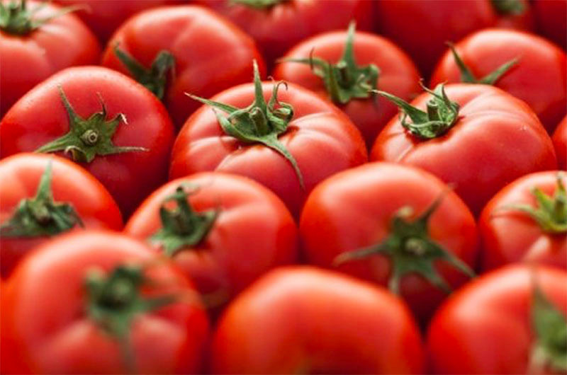 Loai ca chua moi 500 ngan/kg, an vao giam huyet ap