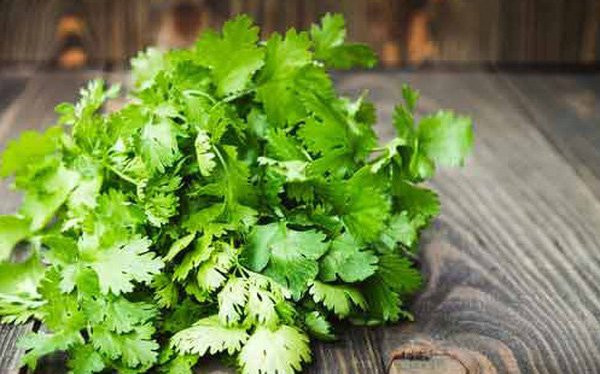 7 kiểu người nên tránh xa rau mùi, kẻo suy giảm sức khỏe 7 kieu nguoi nen tranh xa rau mui, keo suy giam suc khoe