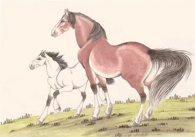 3 con giap nhan tu nen troi thuong, giau co phat tai trong 60 ngay toi-Hinh-2