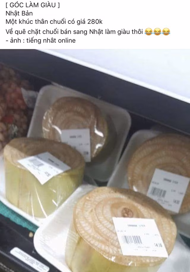 O Viet Nam thu nay cho khong ai lay, sang troi Tay gia cao ngat-Hinh-4