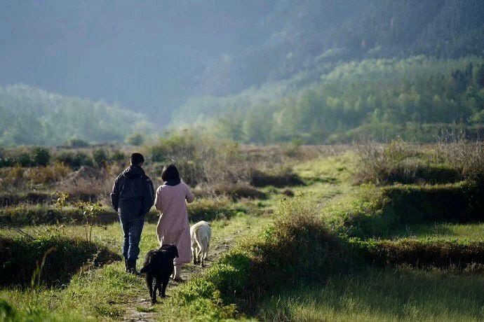 Bo viec luong cao, co gai tre ve que kiem tien ty deu tay-Hinh-5