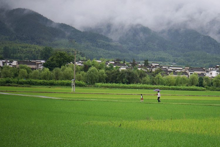 Bo viec luong cao, co gai tre ve que kiem tien ty deu tay-Hinh-6