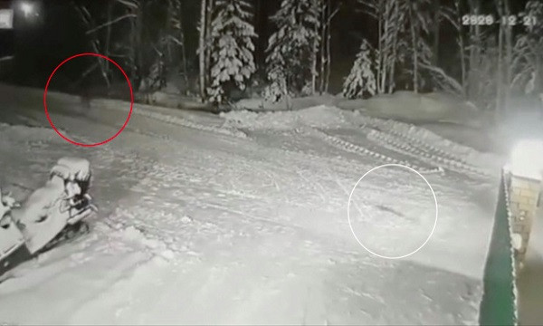 Cam dong chu cho lieu minh chien dau voi soi cuu chu-Hinh-3