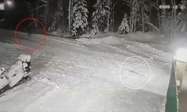 Cam dong chu cho lieu minh chien dau voi soi cuu chu-Hinh-3