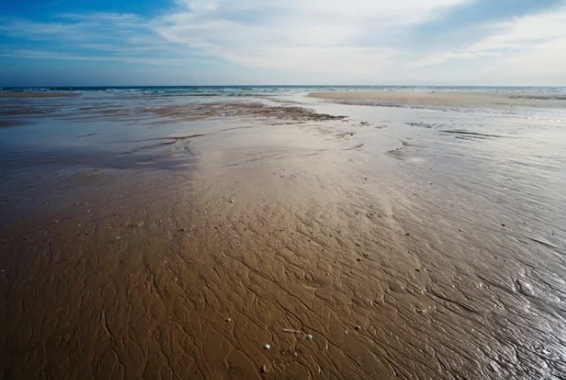 Neu khong co Mat trang dieu gi se xay ra?