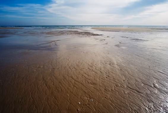 Neu khong co Mat trang dieu gi se xay ra?