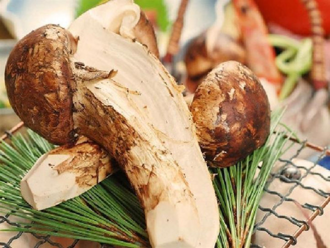 Nhà giàu săn nấm ăn chay có mức giá mà nhà nghèo không dám nghĩ đến Nha giau san nam an chay co muc gia ma nha ngheo khong dam nghi den