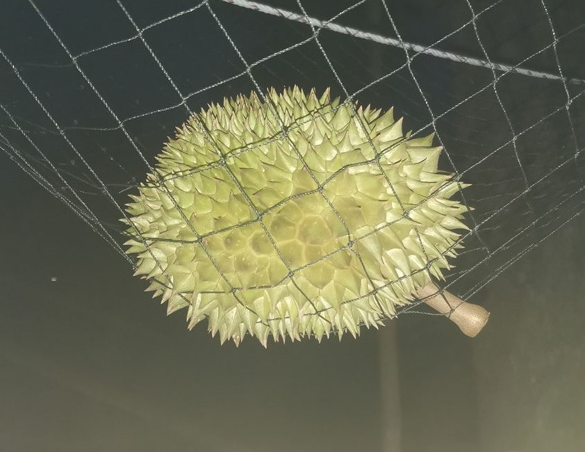 Ngo ngang su that sau man rao ban sau rieng 