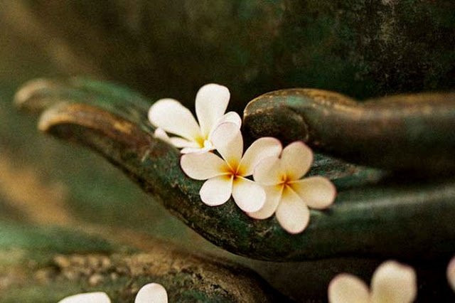 Muon cuoc doi suon se, ban can phai suy ngam that ky 6 chan ly nay