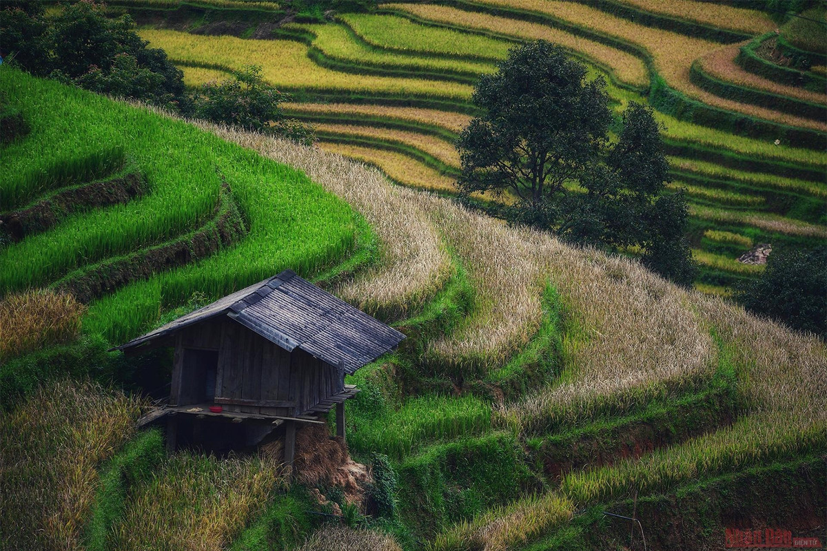 br/> Nhiều năm gần đây sau khi lọt vào tốp 10 ruộng bậc thang đẹp nhất thế giới, Mù Cang Chải trở thành một trong những điểm nhấn của tuyến du lịch Tây Bắc.