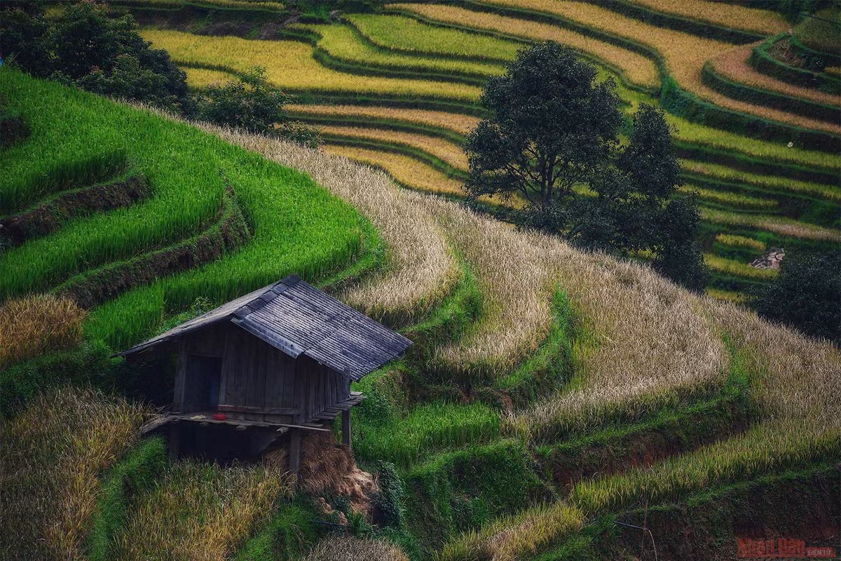 br/> Nhiều năm gần đây sau khi lọt vào tốp 10 ruộng bậc thang đẹp nhất thế giới, Mù Cang Chải trở thành một trong những điểm nhấn của tuyến du lịch Tây Bắc.