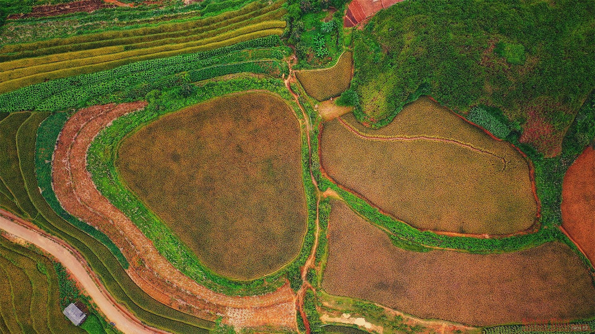 br/> Ruộng bậc thang Mù Cang Chải là di sản văn hóa độc đáo và rất riêng của người dân bản địa.