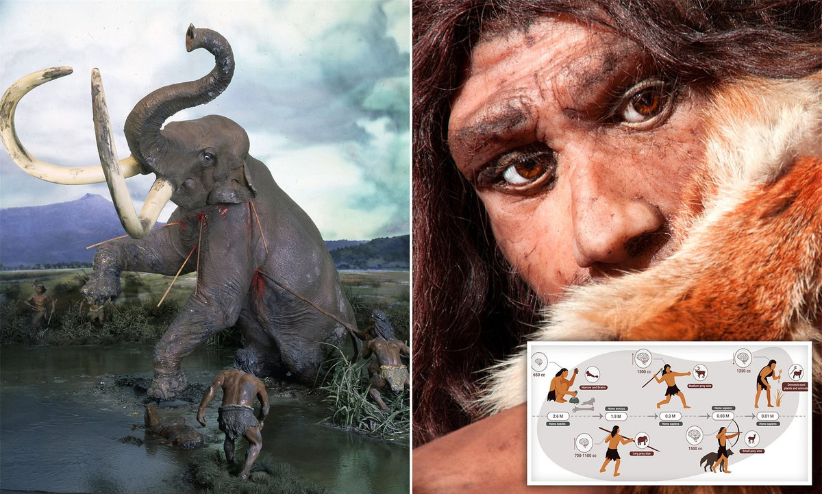 "Vị thế" của con người trong chuỗi thức ăn chỉ tương tự như loài lợn nhà ảnh 4