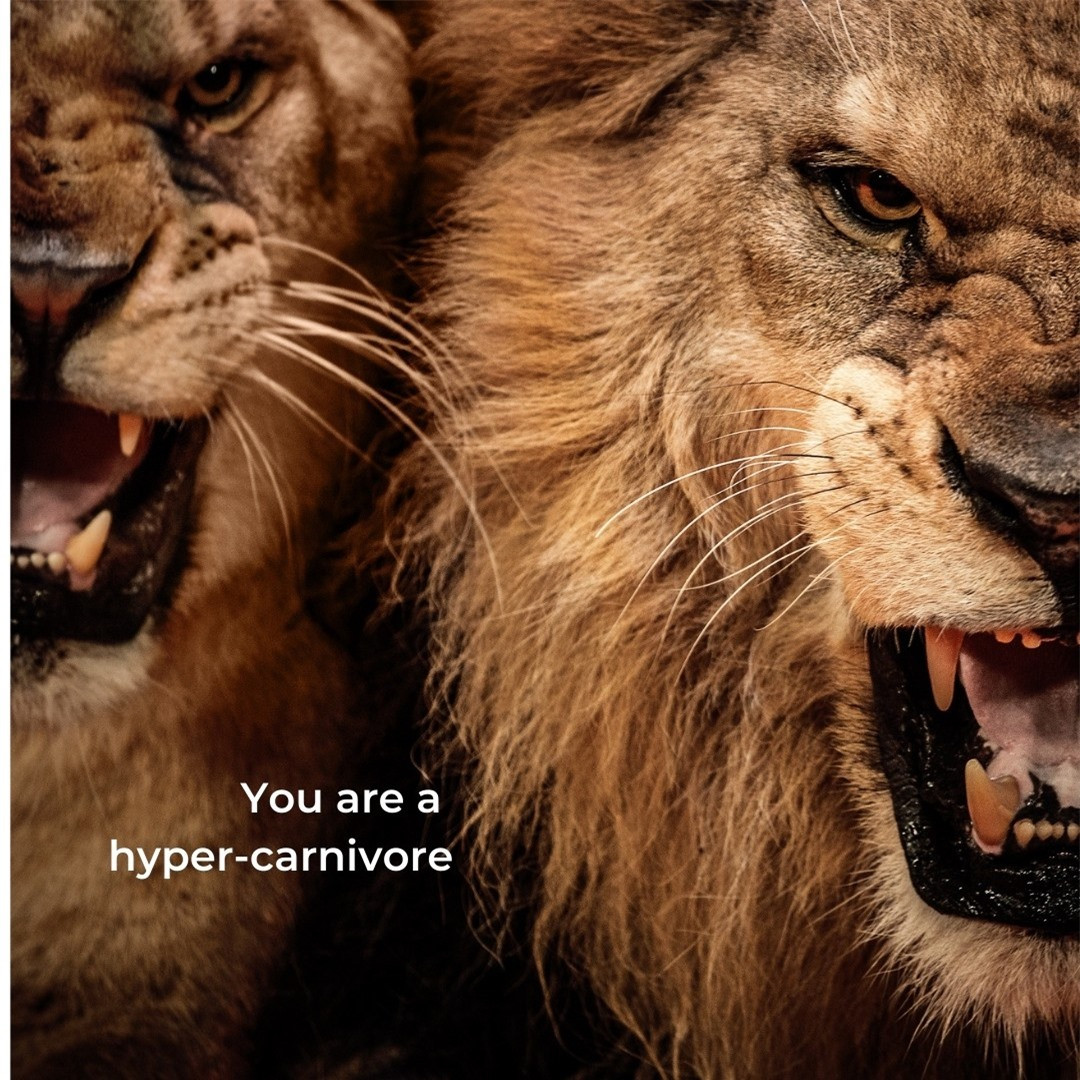 "Vị thế" của con người trong chuỗi thức ăn chỉ tương tự như loài lợn nhà ảnh 2