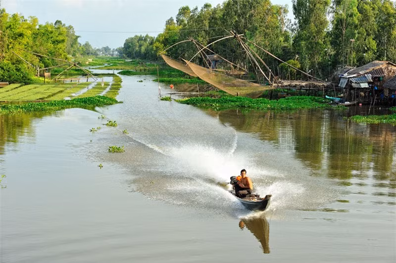 Ảnh: Huỳnh Phúc Hậu.