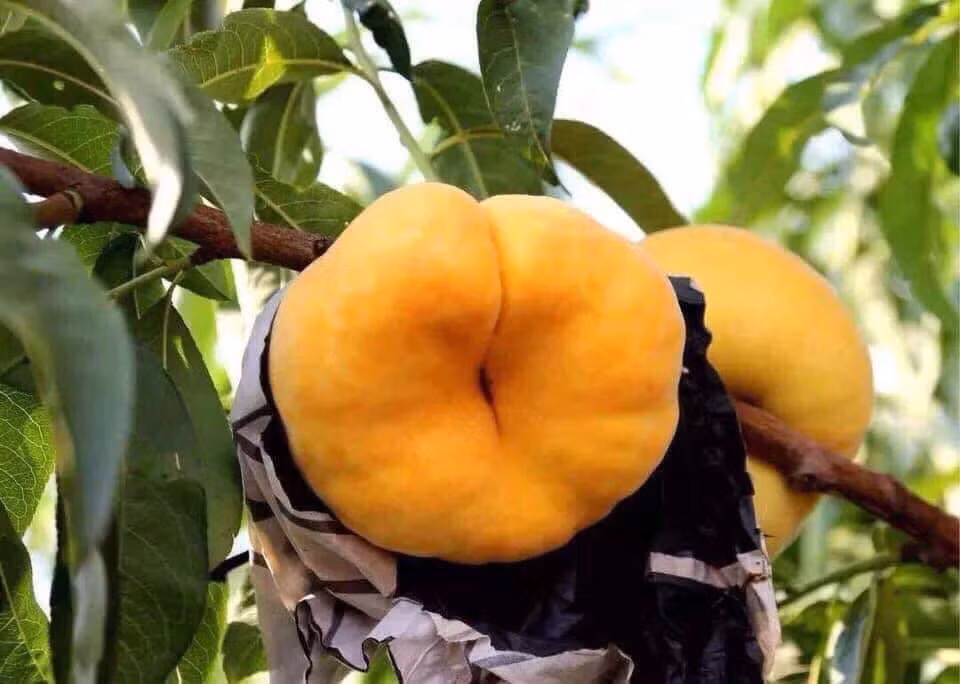 Hai san giam gia mot nua, thit ga 6.000 dong/kg van e am-Hinh-3