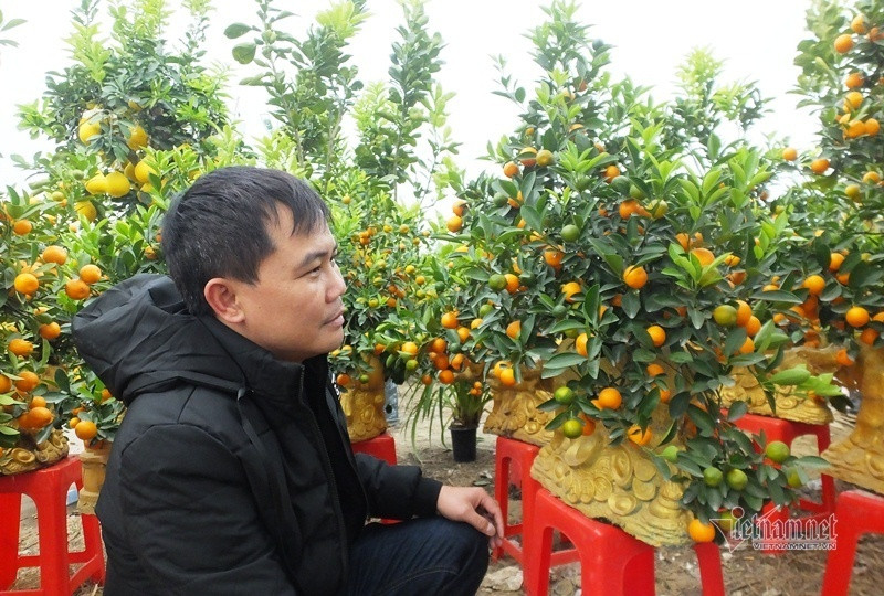 Dan tinh do xo di mua quat than tai gia 1,5 trieu dong-Hinh-3