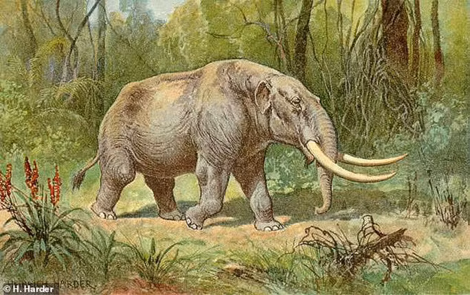 Be 6 tuoi khai quat hoa thach 