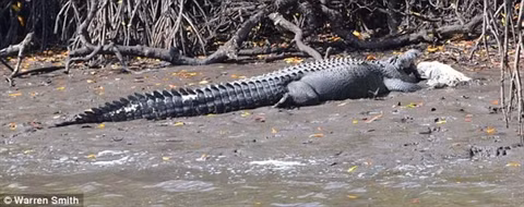 Con ca sau bi ca sau khong lo an thit