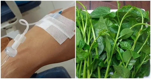 Hay nho 7 dai ky khi an rau mong toi, coi chung ngo doc