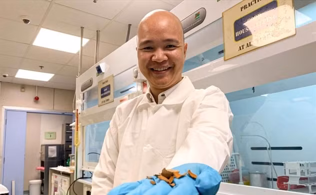 Thu vo bo di o Viet Nam co the tro thanh 