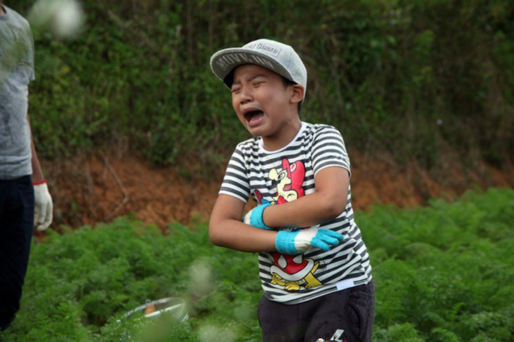  Bé Tê Giác (con trai nhạc sĩ Hoàng Bách) góp mặt trong dàn cast mùa 1 và gây ấn tượng nhờ tính cách tình cảm, quan tâm bố. Tuy nhiên, bé cũng có những khoảnh khắc để lộ tính trẻ con, hiếu thắng. Thời điểm đó, chia sẻ về lý do tham gia chương trình, Hoàng Bách nói: "Tê Giác có thể gọi là cậu bé thừa năng lượng, đôi khi khiến mọi người xung quanh cảm thấy phiền. Tôi và Tê Giác tham gia show để sửa chữa những điểm tồn tại ở con".