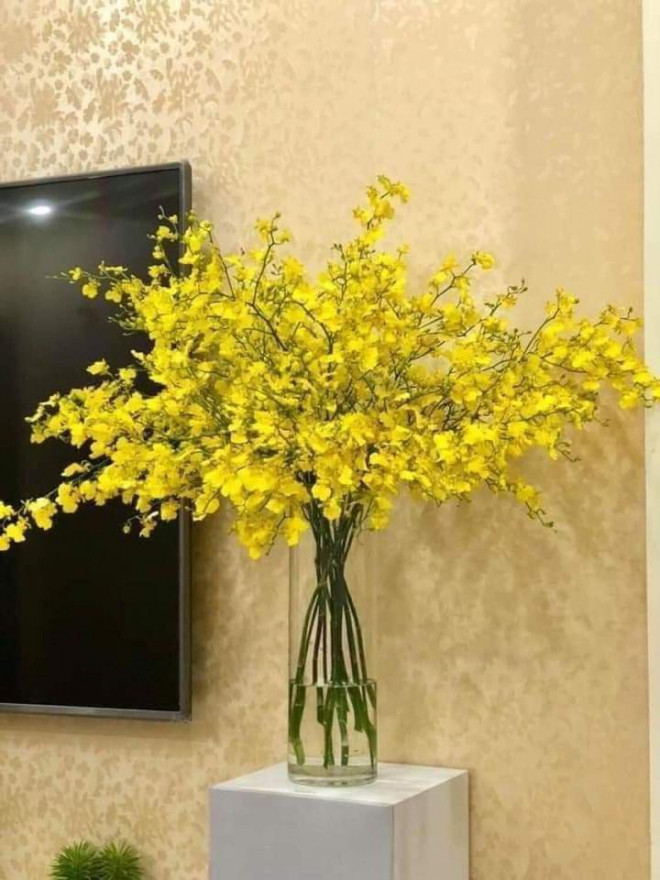 Lan vũ nữ kiêu sa, khiến không ít người chơi lan phải mê mẩn - Hình 4 Lan vu nu kieu sa, khien khong it nguoi choi lan phai me man-Hinh-4