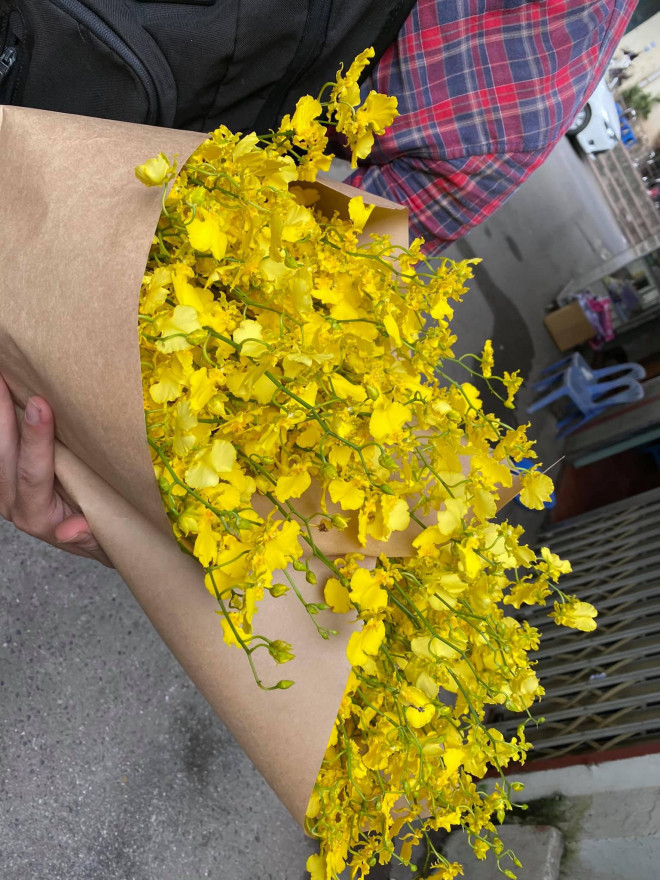 Lan vũ nữ kiêu sa, khiến không ít người chơi lan phải mê mẩn - Hình 2 Lan vu nu kieu sa, khien khong it nguoi choi lan phai me man-Hinh-2