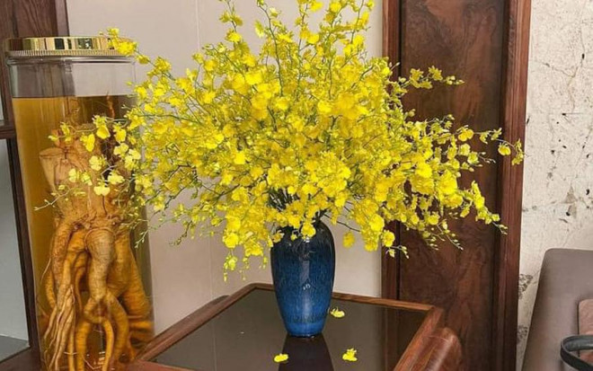 Lan vu nu kieu sa, khien khong it nguoi choi lan phai me man