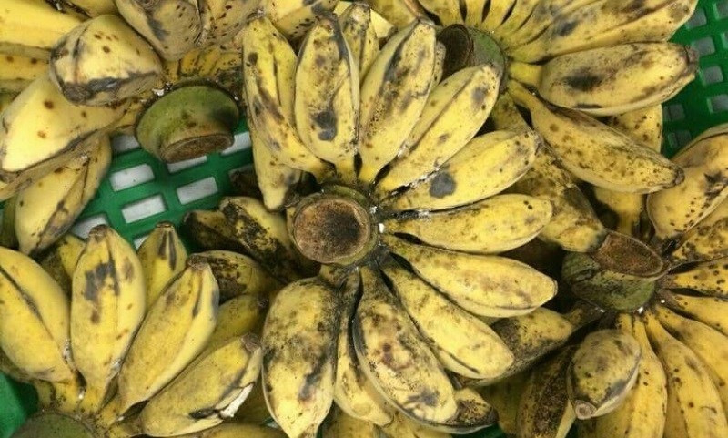 Loai chuoi ky la: Luoc, nuong an thom lung khien chi em thich me-Hinh-3