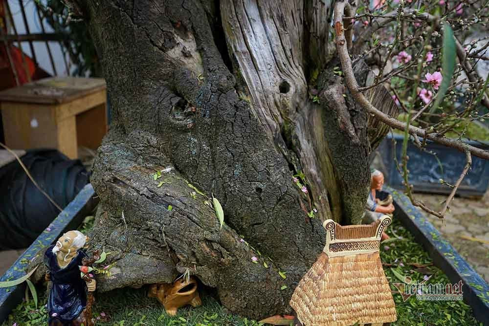 Goc dao co khong lo rao gia tram trieu o Ha Noi-Hinh-9