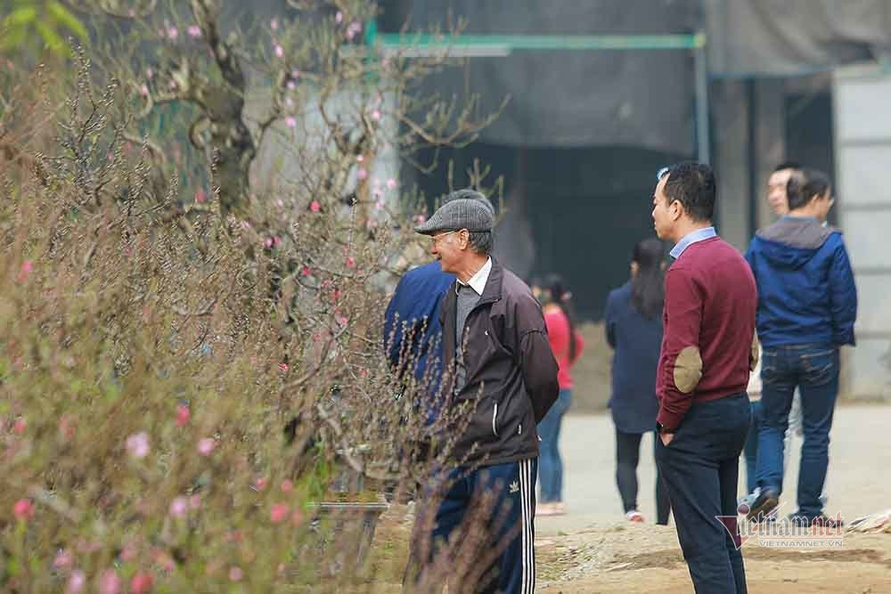 Goc dao co khong lo rao gia tram trieu o Ha Noi-Hinh-2