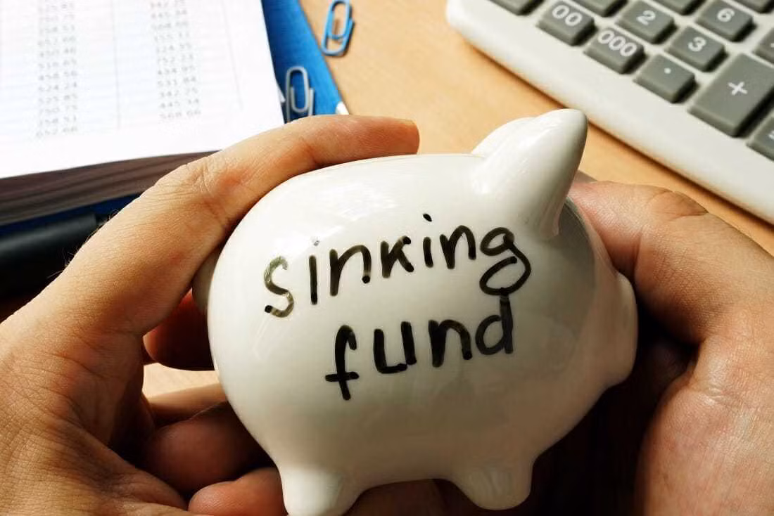 Quy chim va ly do ban can co trong tui tien cua minh-Hinh-2