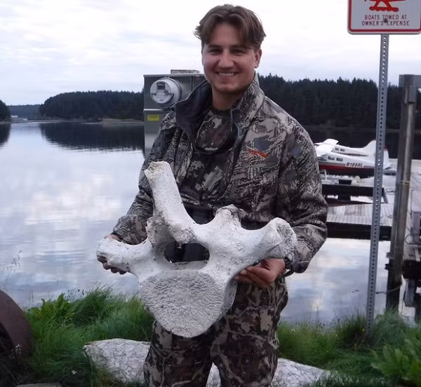 Một đốt xương sống của cá voi.