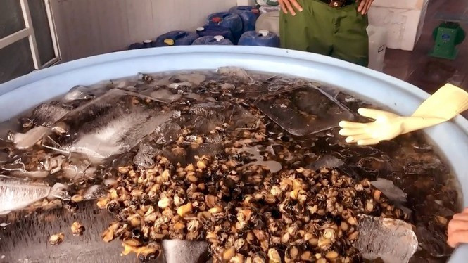 Hang tan oc ngam hoa chat ra thi truong-Hinh-2