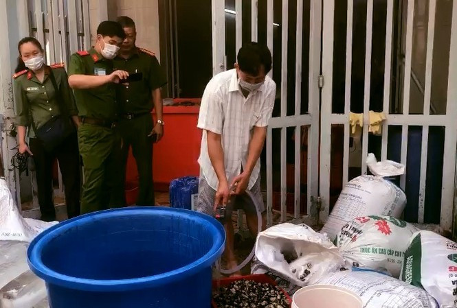 Hang tan oc ngam hoa chat ra thi truong